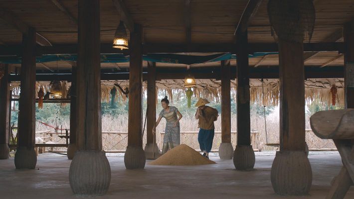 leafpro 收稻谷片